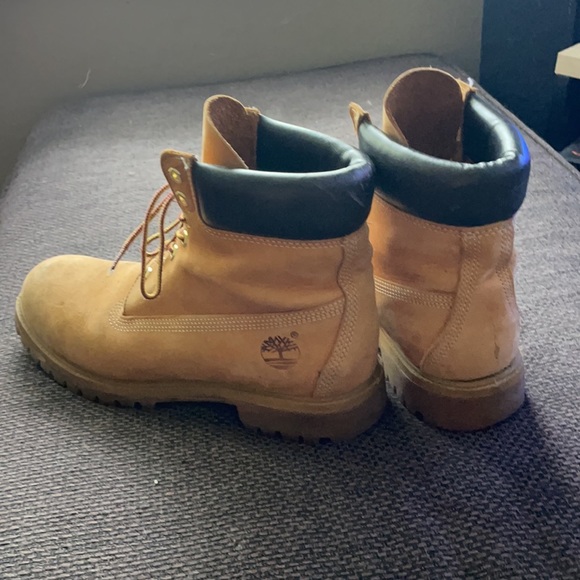Timberlands - Picture 6 of 6